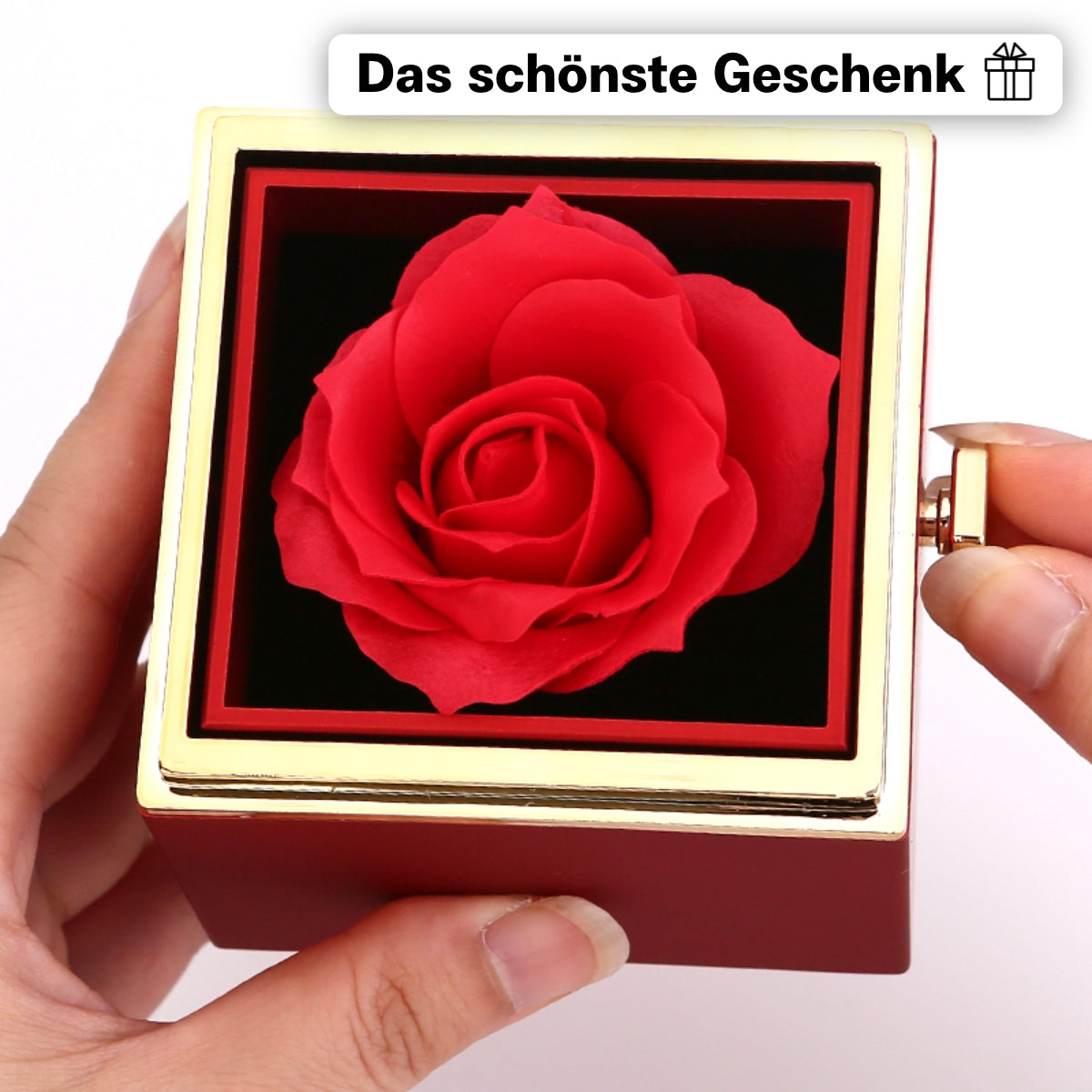 Ewige Rosenbox – mit Knoten-Halskette, Liebesnotiz und echter Rose