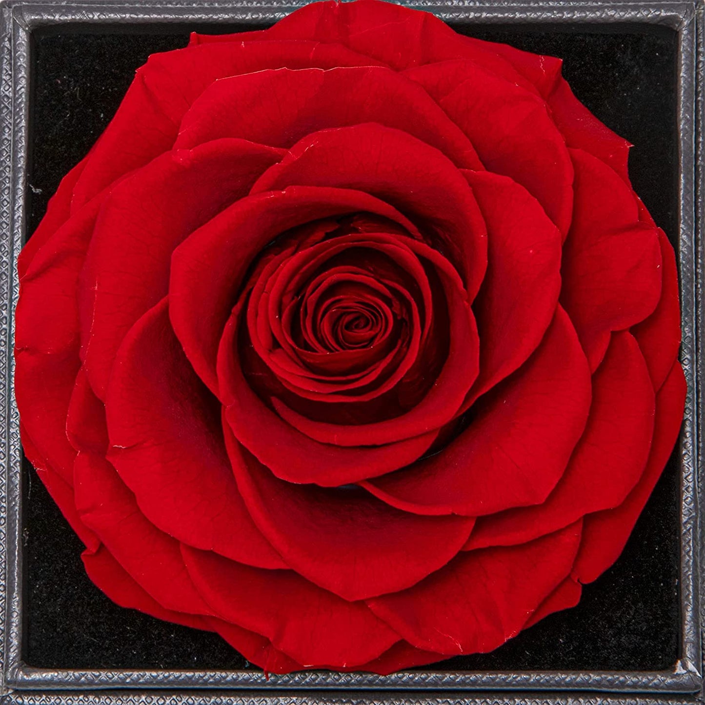 Rosenbox - Weißgold Ausführung Liebesknoten Halskette - An meinen Schatz